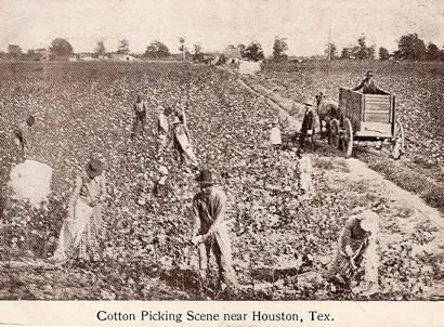 Houston-area historical archive