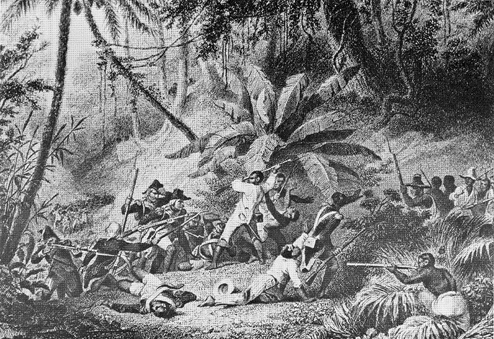 Historical artwork preview for the Haitian Revolution article